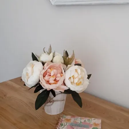 펜션 Dei Nonni *